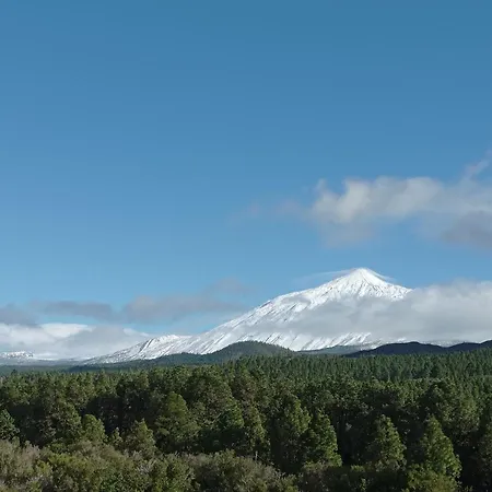 San Jose De Llanos San Jose De Los Llanos