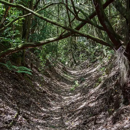 Hostel San Jose De Llanos San Jose De Los Llanos