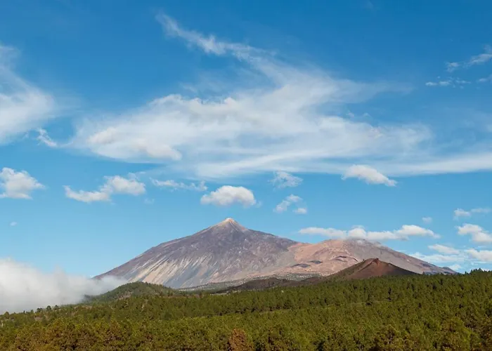 호스텔 San Jose De Llanos