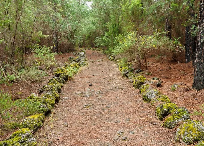 San Jose De Llanos * San Jose De Los Llanos