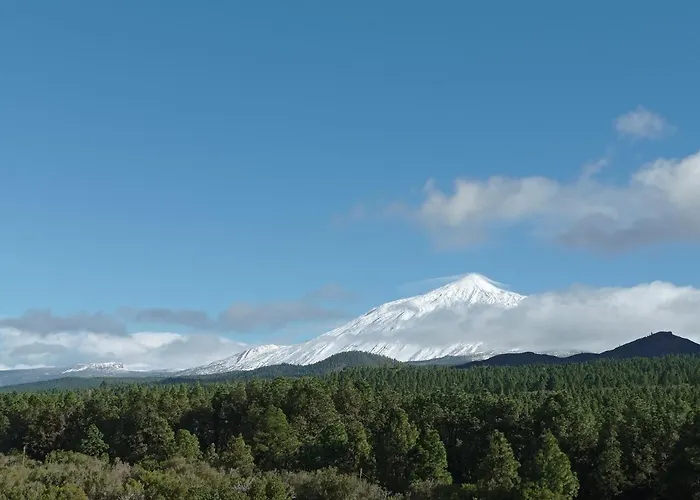 San Jose De Llanos San Jose De Los Llanos