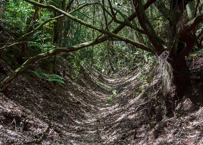 호스텔 San Jose De Llanos San Jose De Los Llanos