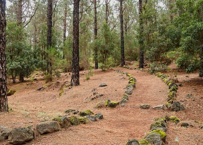 San Jose De Llanos * San Jose De Los Llanos